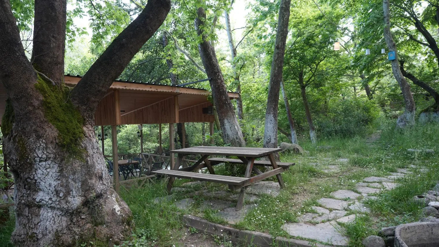 Vadi Restoran'a giden dere yolu